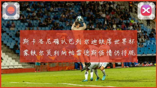 斯卡洛尼确认巴列尔迪缺席世界杯蒙铁尔莫利纳帕雷德斯伤情仍待观察