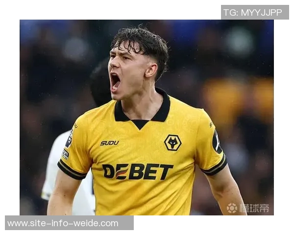 英超失误致丢球统计：狼队领先热刺桑德兰森林紧随其后