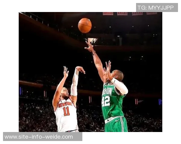 凯尔特人客场挑战尼克斯加尔扎与塔图姆缺阵其余球员状态良好