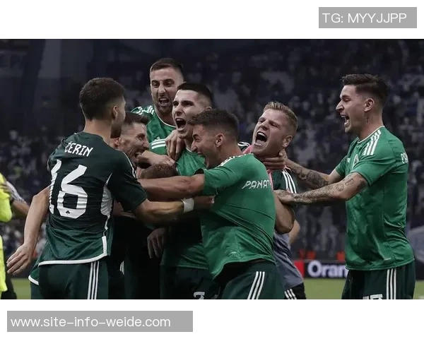 文班亚马称希腊帕纳辛奈科斯主场是欧洲最具敌意的篮球场所